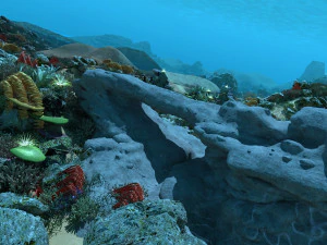 seabed 3D Model