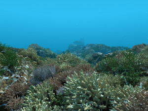 seabed 3Dモデル