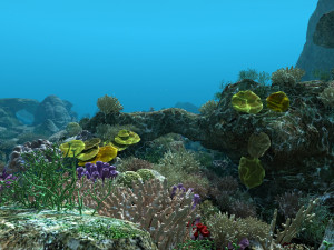 seabed 3D Model