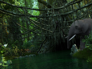 rainforest Modèle 3D