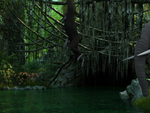 rainforest Modèle 3D