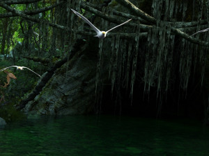 rainforest Modèle 3D