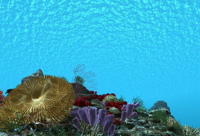 seabed 3D Model .c4d .max .obj .3ds .fbx .stl .blend 