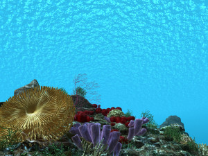 seabed Model 3D