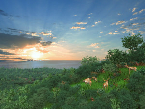 public park 3D Model