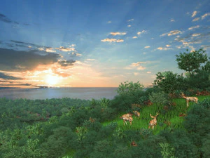public park 3D Model