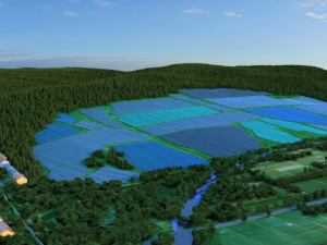 ginseng base 3D 모델