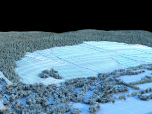 ginseng base 3D Model