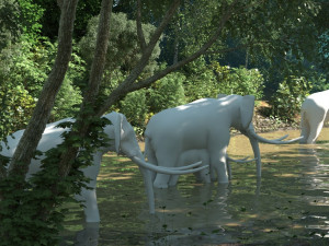 rain forest Modelo 3D