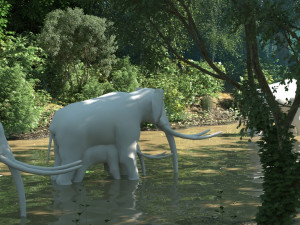 rain forest Model 3D