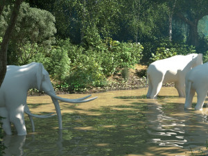rain forest Model 3D