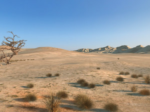 desert Modelo 3D
