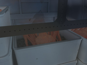 landing 3D 모델