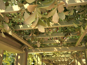 flower valley 3D Model