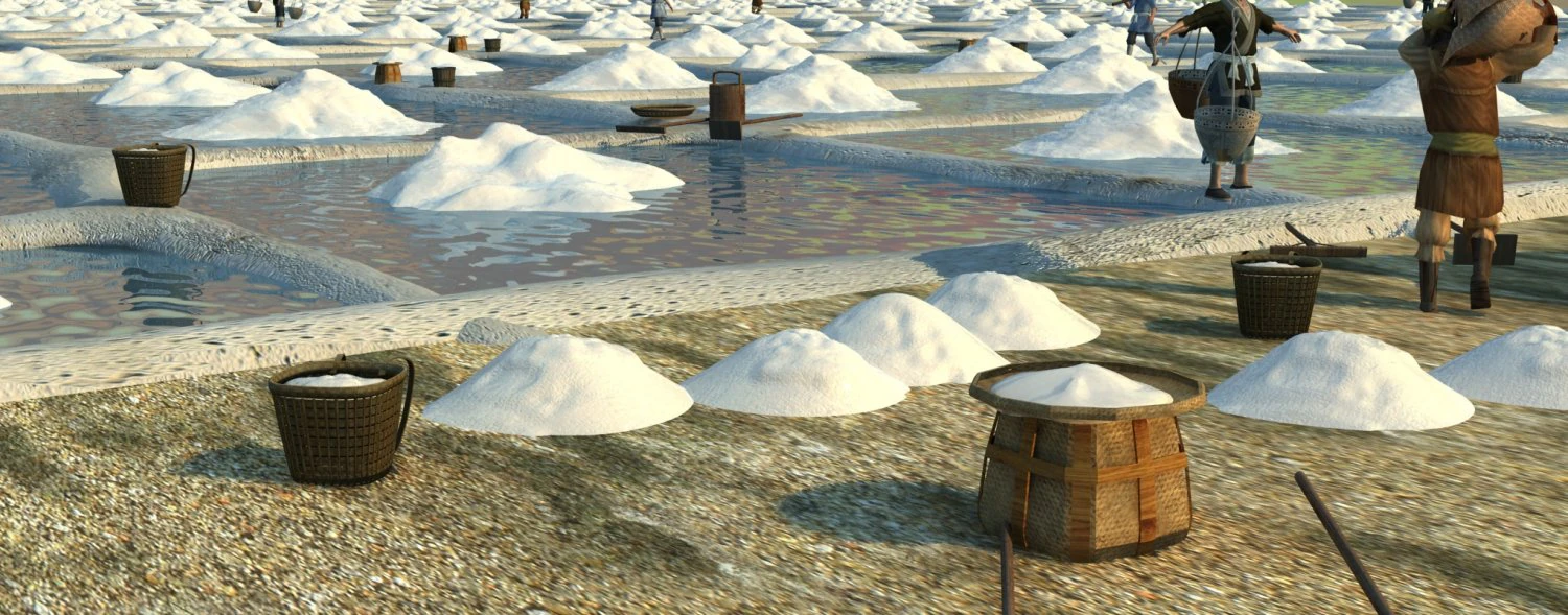drying salt field 3D Model .c4d .max .obj .3ds .fbx .stl .blend 