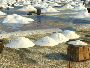 drying salt field 3D Model