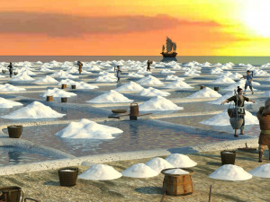 drying salt field 3D Модель