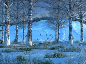 स्की सुविधा 3D मॉडल