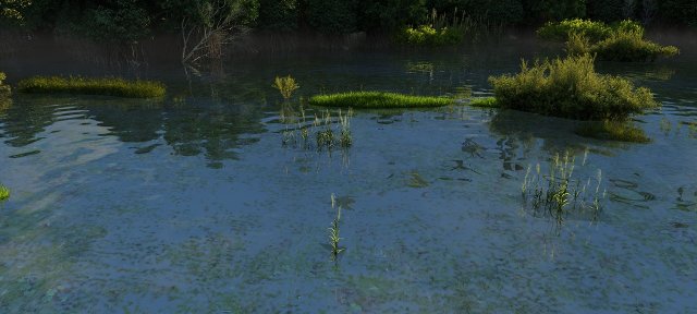 rainforest 3D Model .c4d .max .obj .3ds .fbx .stl .blend 