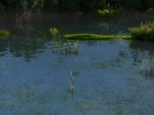 열대우림 3D 모델