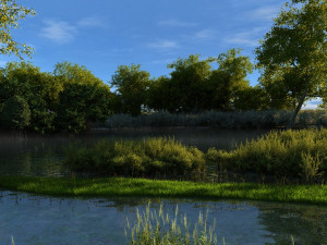 rainforest 3D Model