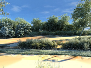 rainforest 3D Model