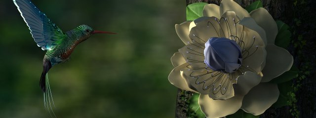 hummingbird 3D Model .c4d .max .obj .3ds .fbx .stl .blend 