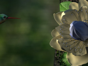hummingbird 3D Model