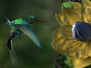 hummingbird 3D Model