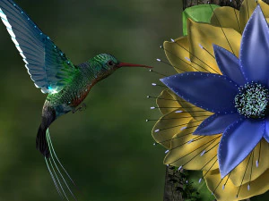 hummingbird 3D Model