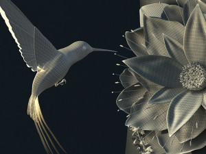 hummingbird 3D Model