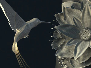 hummingbird 3D Model