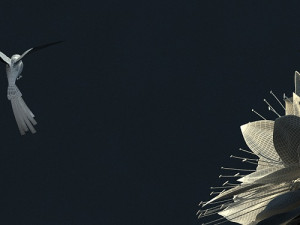 hummingbird Model 3D