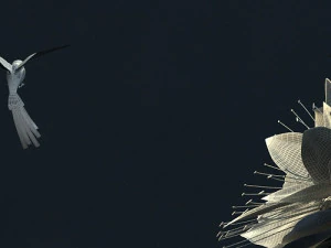 hummingbird 3D Model