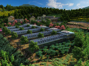 日光温室 3D 模型