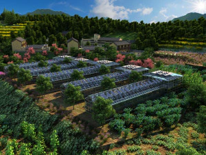 solar greenhouse 3D Model
