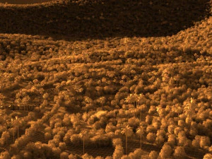 small town 3D Model