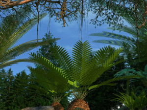 rainforest Modelo 3D
