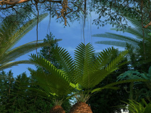 rainforest 3D मॉडल