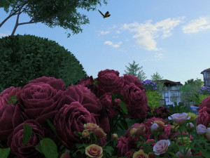butterfly 3D 모델