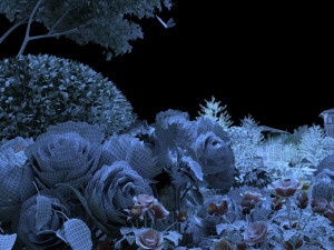 butterfly 3D 모델