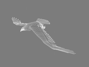golden eagle Modèle 3D