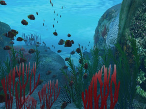 seabed 3D Model