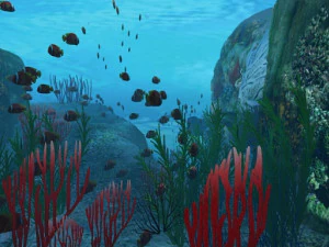 deniz yatağı 3D Model