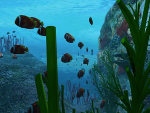 seabed 3D Model
