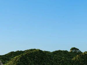 greatwall 3D Model
