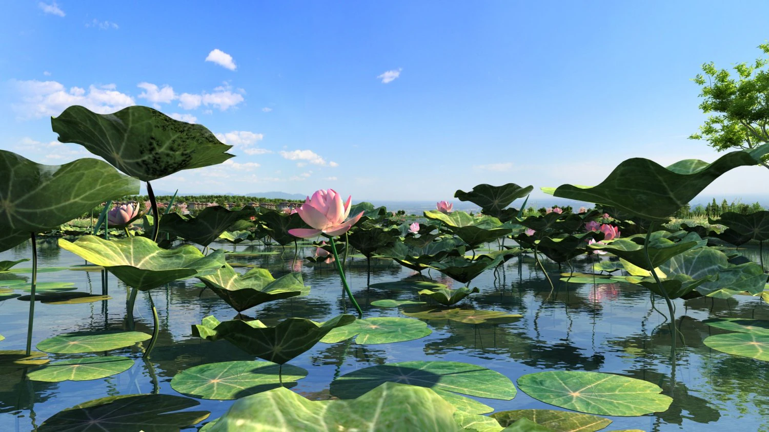 lac aux lotus Modèle 3D .c4d .max .obj .3ds .fbx .stl .blend 