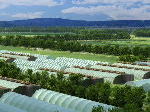 vegetable greenhouse Modelo 3D