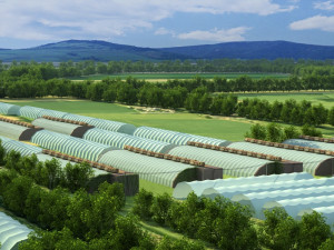 vegetable greenhouse Modèle 3D