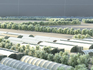 vegetable greenhouse Modèle 3D